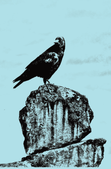 Screenshot 2023-09-29 004453