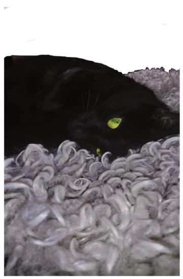 Screenshot 2023-09-29 004557